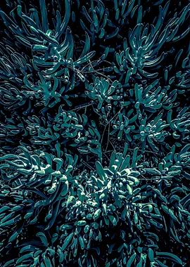 green succulent plant