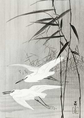 Two Egrets In Flight 1900