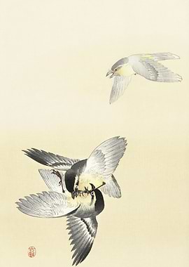 Two Fighting Birds 1900 1