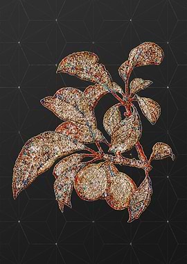 Rainbow Mosaic Botanical