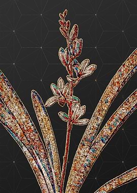 Rainbow Mosaic Botanical