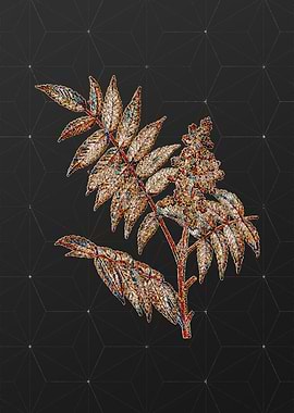 Rainbow Mosaic Botanical