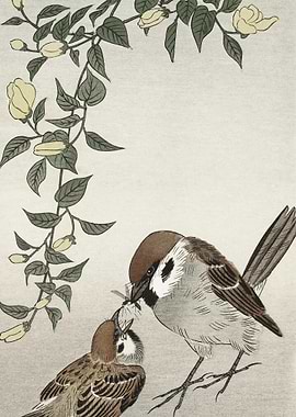 Birds And Plants 1900 193