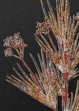 Rainbow Mosaic Botanical