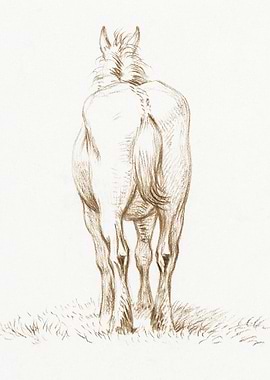 Standing Horse 1815 By Jea