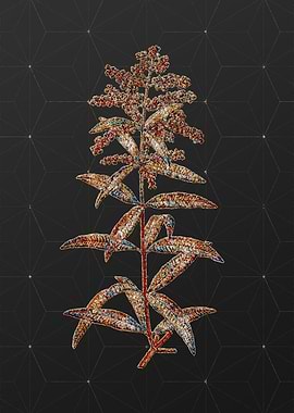 Stained Glass Floral