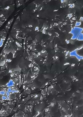 Abstract Contemporary art