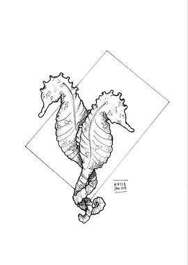 Seahorse Print Lineart
