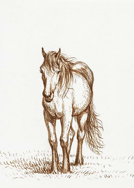 Standing Horse 1816 By Jea
