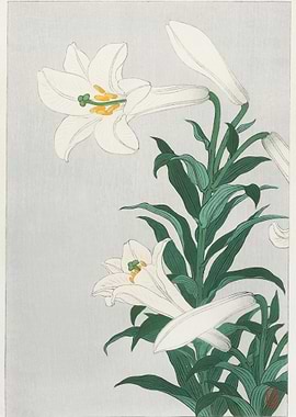 Lilies Ohara 1920 1930 B