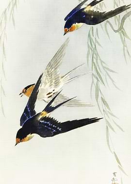 Three Birds In Full Flight