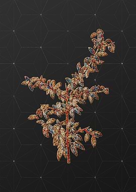 Rainbow Mosaic Botanical