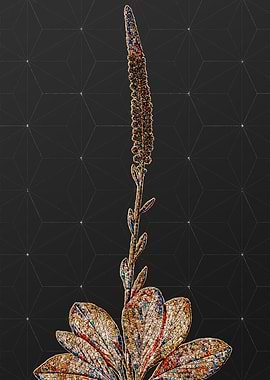 Prismatic Mosaic Floral