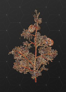 Stained Glass Floral