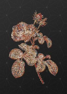 Prismatic Mosaic Floral