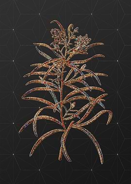 Prismatic Mosaic Floral