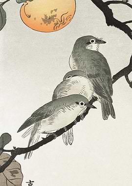 Birds And Plants 1900 193