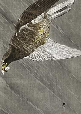 Downward Flying Eagle 1900