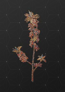 Stained Glass Botanical