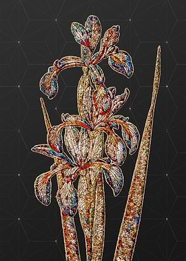 Rainbow Mosaic Botanical