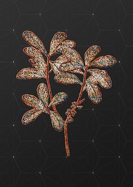 Prismatic Mosaic Floral