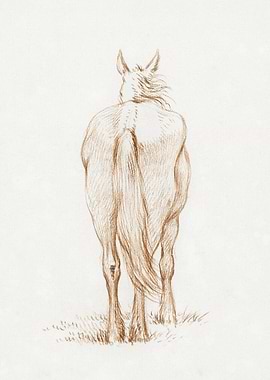 Standing Horse 1815 By Jea