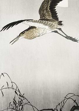 Heron And Moon 1900 1910