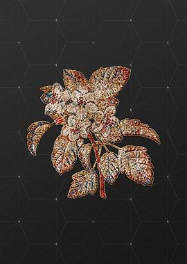 Rainbow Mosaic Botanical