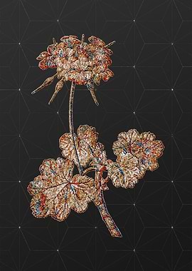 Rainbow Mosaic Botanical