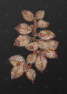 Stained Glass Botanical