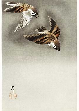 Ring Sparrows In Snow 1900