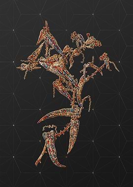 Rainbow Mosaic Botanical