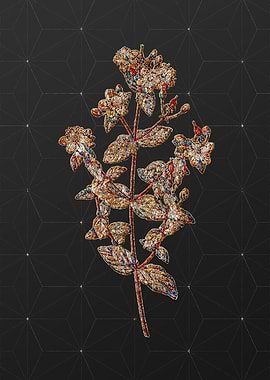 Rainbow Mosaic Botanical