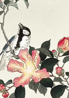 Great Tit On Branch With P