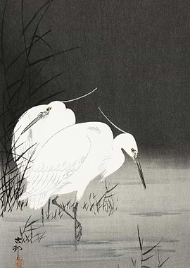 Two Egrets In The Reeds 19
