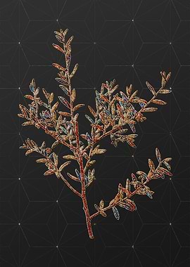 Prismatic Mosaic Floral