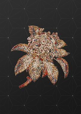 Rainbow Mosaic Botanical