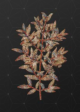 Prismatic Mosaic Floral