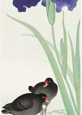 Waterhoots And Iris 1925