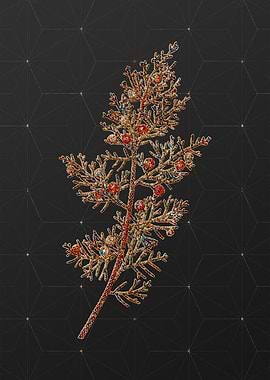 Prismatic Mosaic Floral