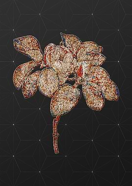 Stained Glass Floral