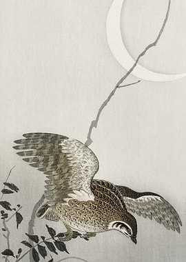 Quail At Moon Sickle 1900