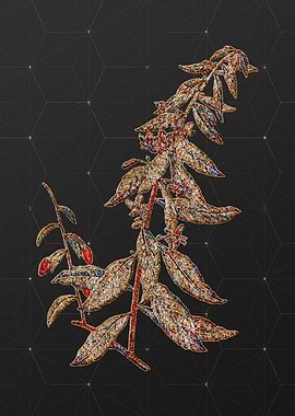 Stained Glass Botanical