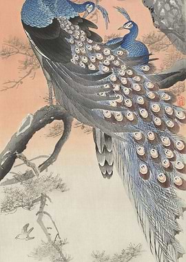 Two Peacocks On Tree Branc