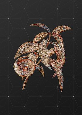 Prismatic Mosaic Floral