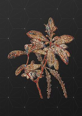 Rainbow Mosaic Botanical