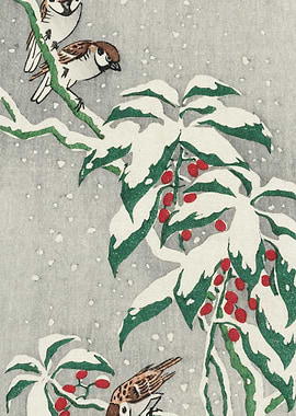 Sparrows On Snowy Berry Bu