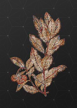 Rainbow Mosaic Botanical