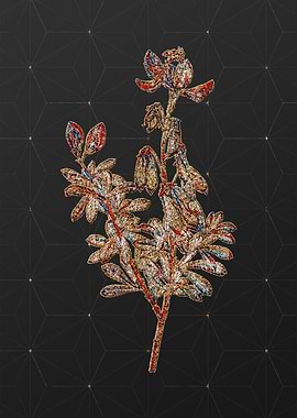 Rainbow Mosaic Botanical