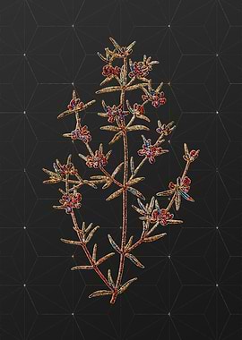 Stained Glass Floral